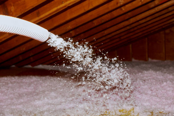 Best Insulation Maintenance and Repair in Rainier, WA