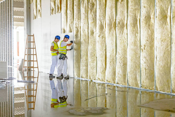 Best Spray Foam Insulation in Rainier, WA